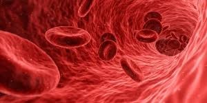 Nuovi dati su zanubrutinib di BeOne negli ultra 80enni con leucemia linfatica cronica