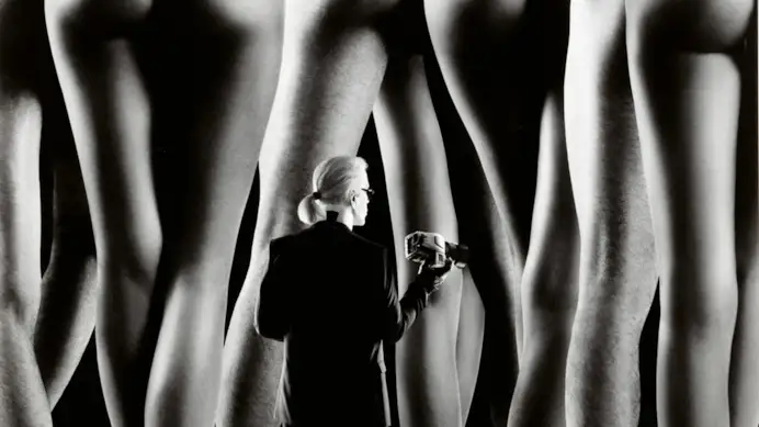 La locandina dell'asta di Karl Lagerfeld (ph official website Sotheby's)