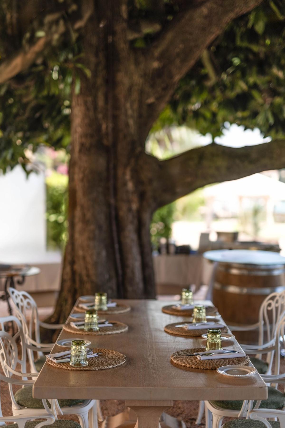 Il Grand Hotel Fasano svela il suo Garda segreto tra Michelin, Spa e mixology