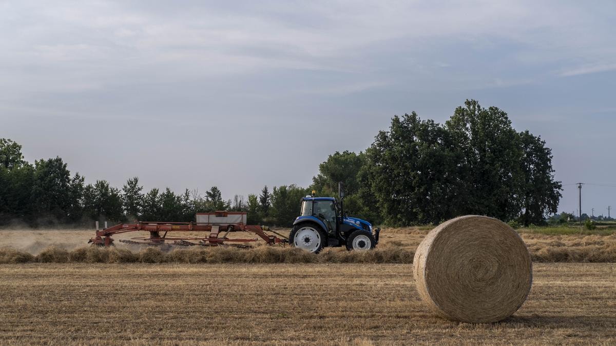 Clima, il super El Niño surriscalda anche i mercati: perché caffè, cacao e rame rischiano una nuova impennata