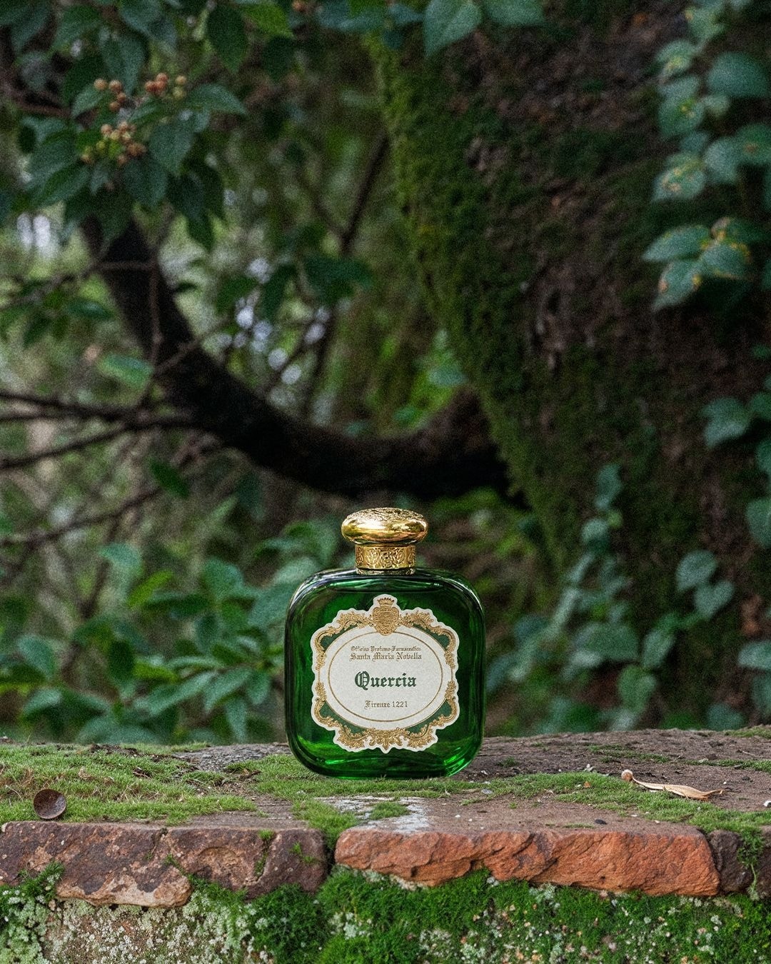 L’estate addosso: i profumi che sanno di mare, agrumi e vacanze