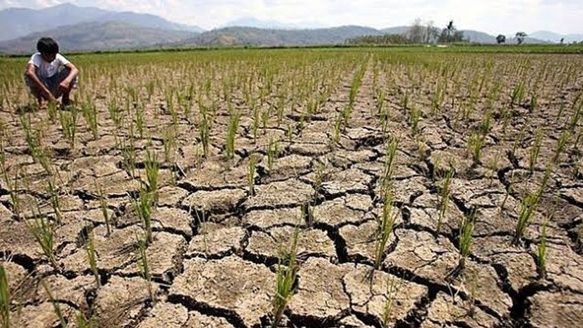 Cat bond, El Niño migliora lo scenario ma cambia la geografia dei rischi climatici: l’analisi di Quaestio Sgr
