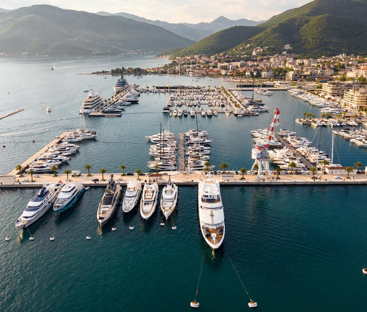 Una foto di Porto Montenegro (courtesy Iff)