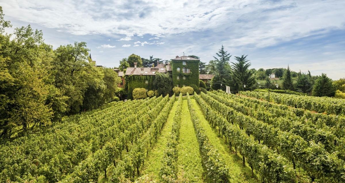 Dormire in una casa-grotta, in un palazzo storico o tra i vigneti: gli hotel italiani più sorprendenti