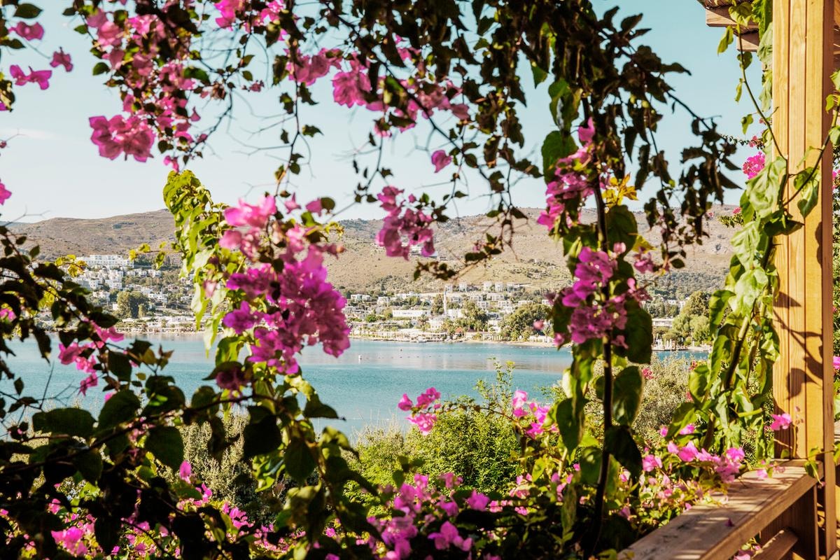 Maçakizi, la regina (di picche) che ha trasformato Bodrum nella Saint-Tropez turca