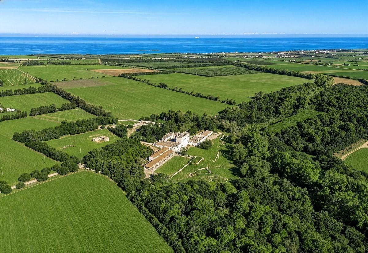La masseria dei re: nove secoli di storia a un passo dal mare ora in vendita