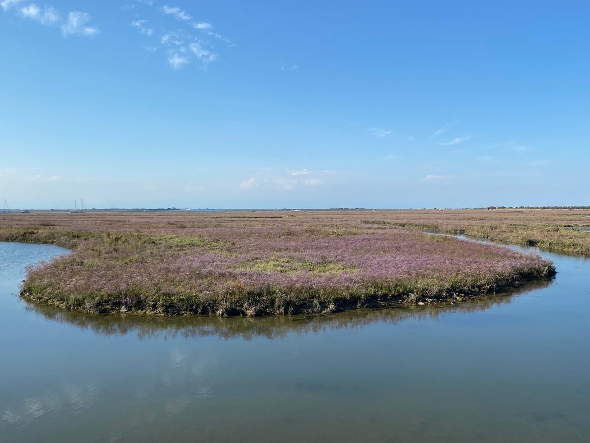 In bici di giorno, in barca la sera: il nuovo modo di viaggiare slow in Europa