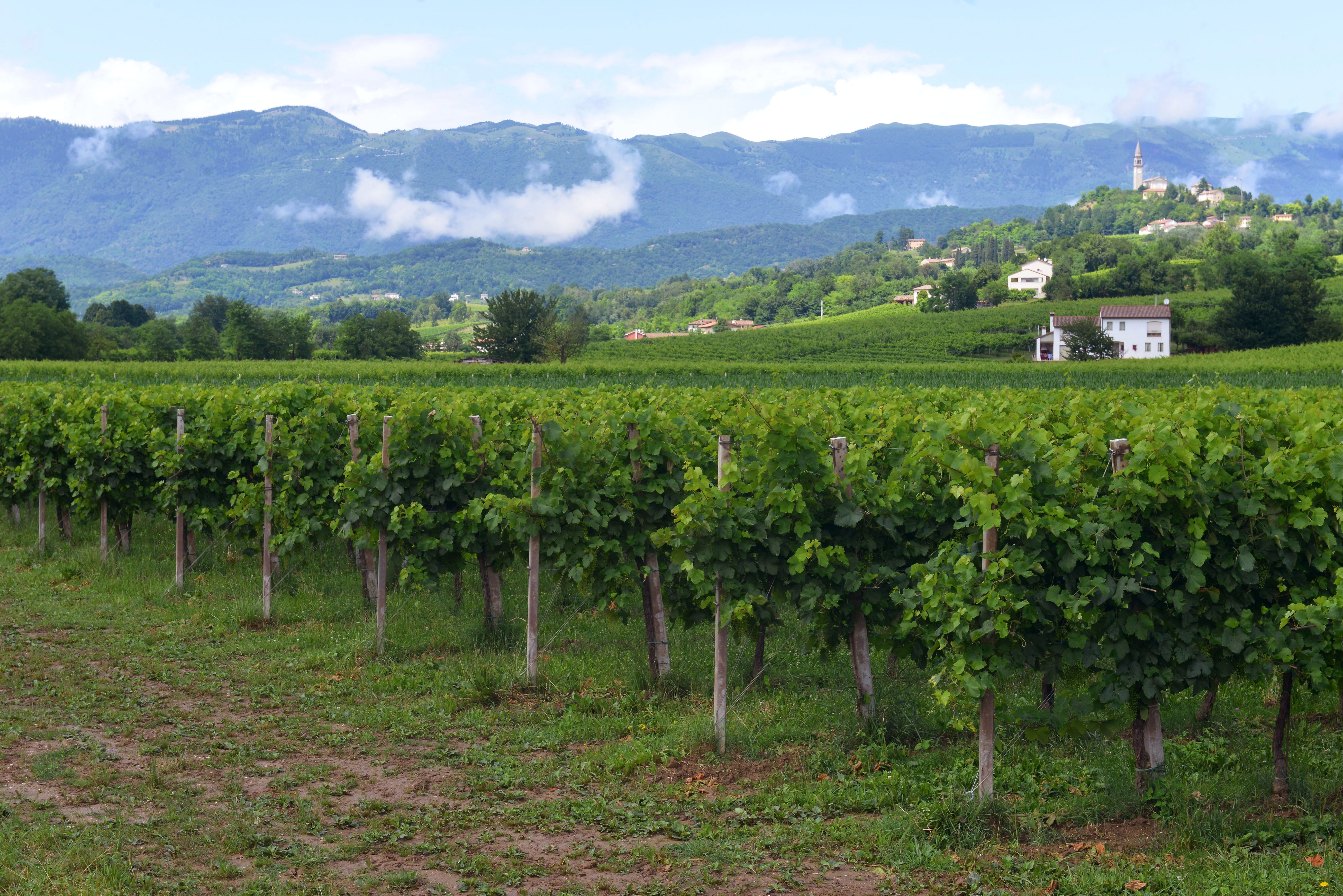 Immobiliare, quanto costa un buen retiro tra le vigne 