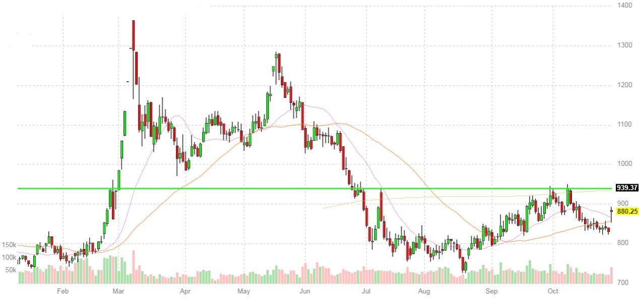 Sul grano ritorna l'eco di guerra