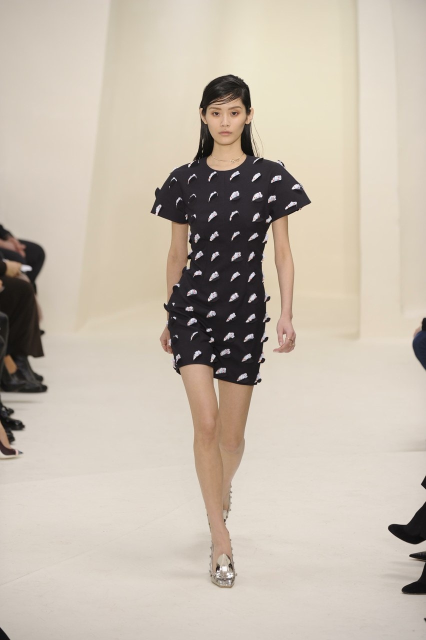 Paris Haute Couture Primavera/Estate 2014 Dior