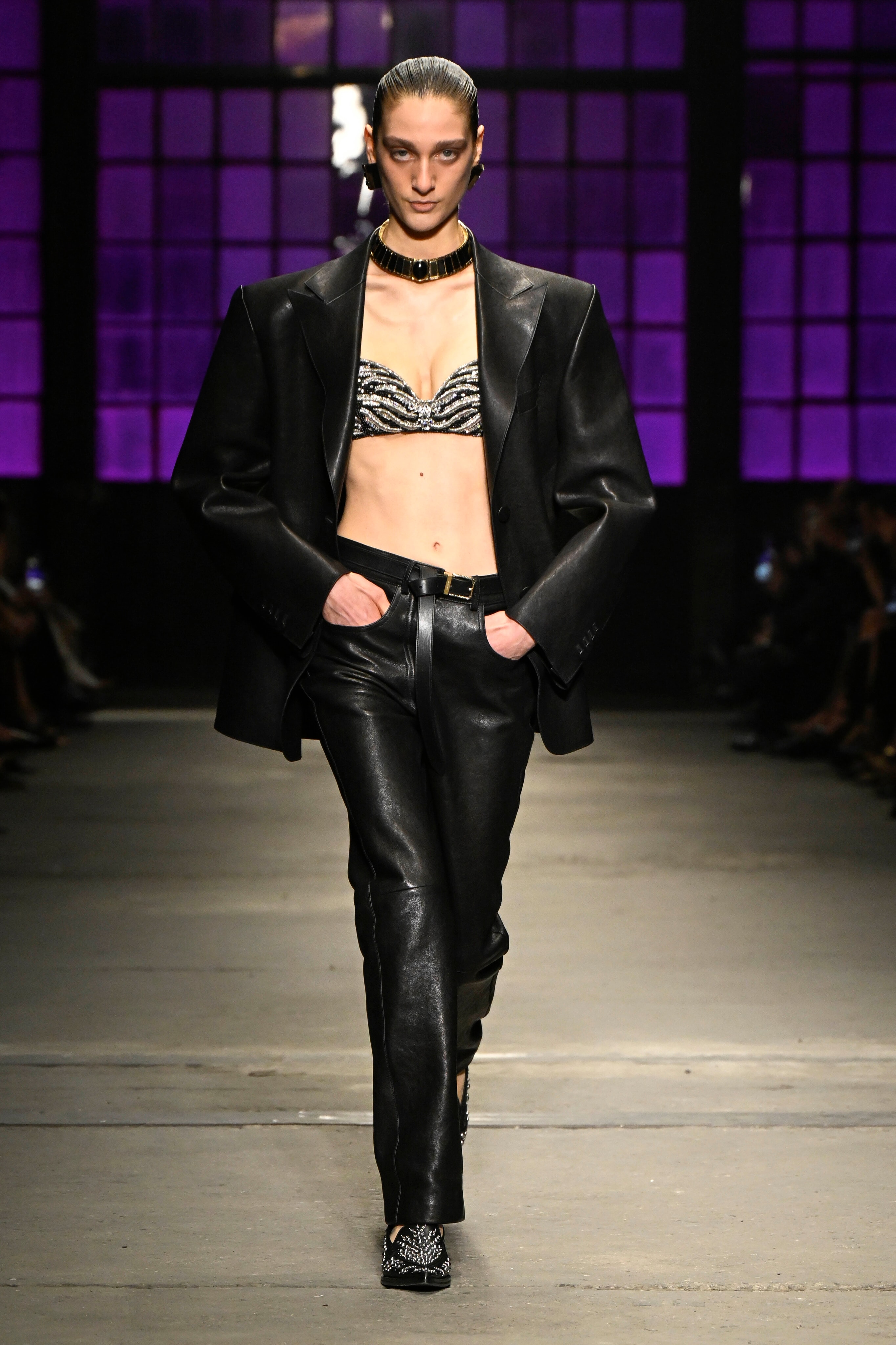 Milano Moda Donna Autunno/Inverno 2026/27 Roberto Cavalli